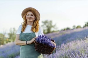 How to grow lavender